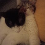 Maria Nuzzo - Facebook