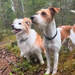 Maria Nylund - Facebook