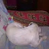 mariaoddone558 - @mariaoddone558 - TikTok