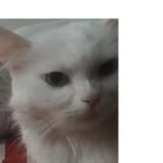 Maria Omer - @mariaomer72 - Instagram