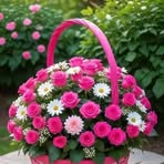 Maria Omer Younis - Facebook