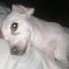María  ori - @mari_ori_jsjs - TikTok