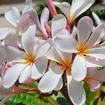 Maria Ormonde - @ormondem - Instagram