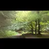 Maria O' Rourke - @maria.o.rourke - TikTok