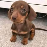 Maria O'Rourke - @maria.orourke.758 - Instagram