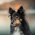 Eva-Maria Ortner - @evilein001 - Instagram