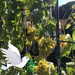 Maria Luise Ortner - @mariaortner1 - Instagram
