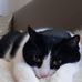 Maria Ortner - Facebook