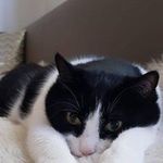 Maria Ortner - @mari.aortner - Instagram