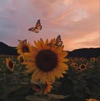 Maria Oscal - Facebook