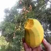 Maria Osoy - @maria.osoy - TikTok