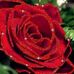 Ottina Maria - Facebook