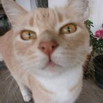 Maria Ottone - @ottone52 - Instagram