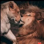 Maria Oukheir - @maria_oukheir_ - Instagram