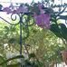 Maria Dora Overman - Facebook