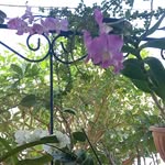 Maria Dora Overman - @dorac.over - Instagram