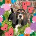 Maria Owens - Facebook