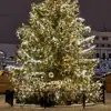 mariaowens - @jackjones1977 - TikTok