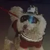 María Ozorio - @rene.zorio - TikTok