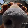 María del Refugio Pachecano Go - @mara.del.refugio34 - TikTok