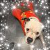 Maria Padgett - Facebook