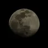 Maria Velasco-Padgett - @maria.velascopadg - TikTok
