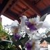 Maria Padua - Facebook