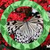 Maria Paniccia - Facebook