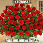 Maria Paniccia - @palmamaria1012 - Instagram