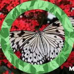 Maria Paniccia - @marypaniccia0 - Instagram