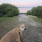 Maria Peak - Facebook