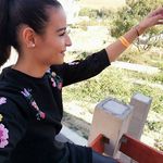 Maria Peake - @mariapeake965 - Instagram