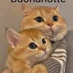 Maria Rosaria Pedulla - Facebook
