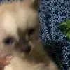 @mariaperez6765 - TikTok