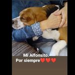 Maria Petit - @maria.petit.5 - Instagram