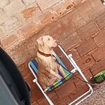 Maria Eduarda Reis Petsch - @reispetsch - Instagram