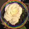 Maria Philpott133 - @mariaphilpott71 - TikTok