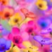 Maria Pieper - Facebook