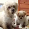 Mariapikos4321 - @mariapikos4321 - TikTok
