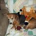 Maria Pine - Facebook