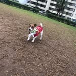 Maria Del Carmen Pinglo Tripi - @pinglotripi - Instagram