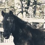 Maria Pohl - @maria.pohl.585 - Instagram