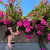 M.to.the.I.to.the.A - @mariapohl - TikTok