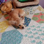Maria Poling - Facebook