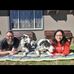 Maria Pollack - Facebook