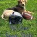 Marian Pollack - Facebook