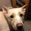 mariapollack125 - @mariapollack125 - TikTok
