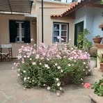 Fotis Maria Polychroni - Facebook