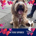 Maria McShane-Ponton - @mcshaneponton - Instagram