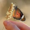 •Maria Pop• - @maria.pop77 - TikTok